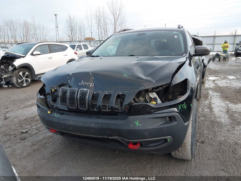 2019 Jeep Cherokee Trailhawk VIN: 1C4PJMBX8KD318523 Lot: 12460519