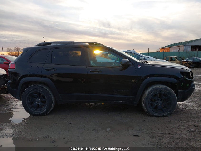 2019 Jeep Cherokee Trailhawk VIN: 1C4PJMBX8KD318523 Lot: 12460519