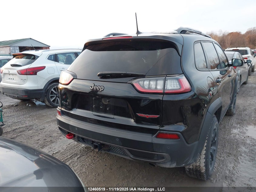 2019 Jeep Cherokee Trailhawk VIN: 1C4PJMBX8KD318523 Lot: 12460519