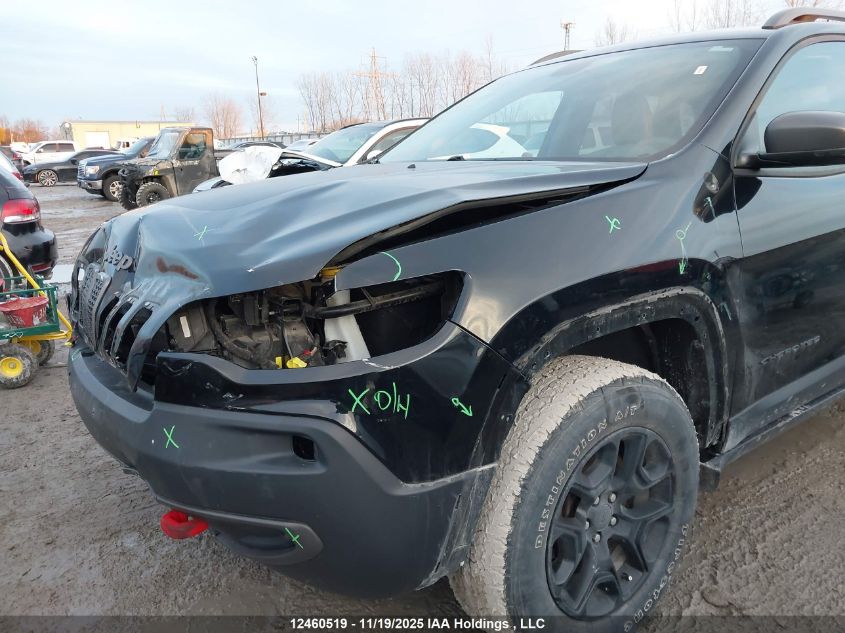 2019 Jeep Cherokee Trailhawk VIN: 1C4PJMBX8KD318523 Lot: 12460519