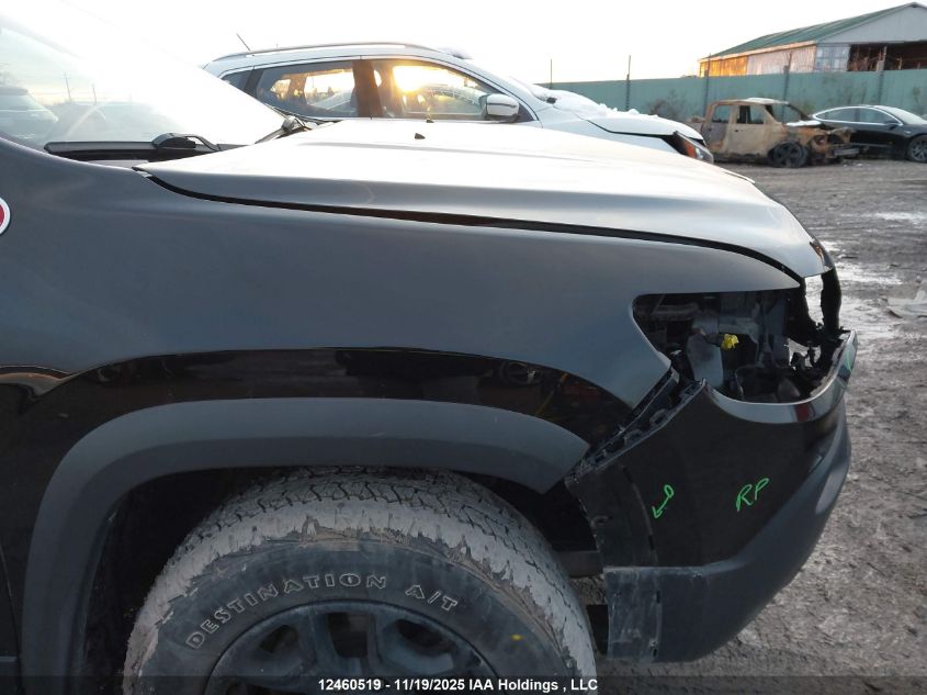 2019 Jeep Cherokee Trailhawk VIN: 1C4PJMBX8KD318523 Lot: 12460519