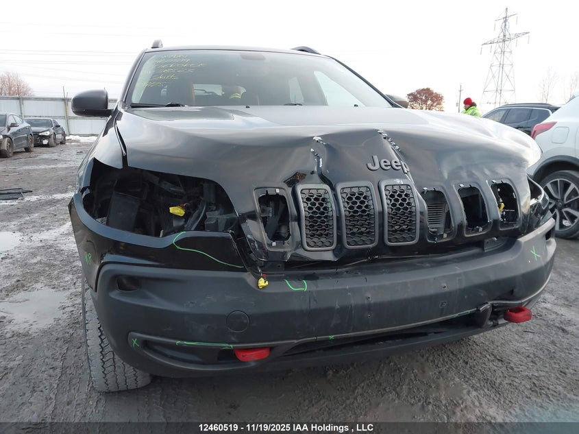 2019 Jeep Cherokee Trailhawk VIN: 1C4PJMBX8KD318523 Lot: 12460519