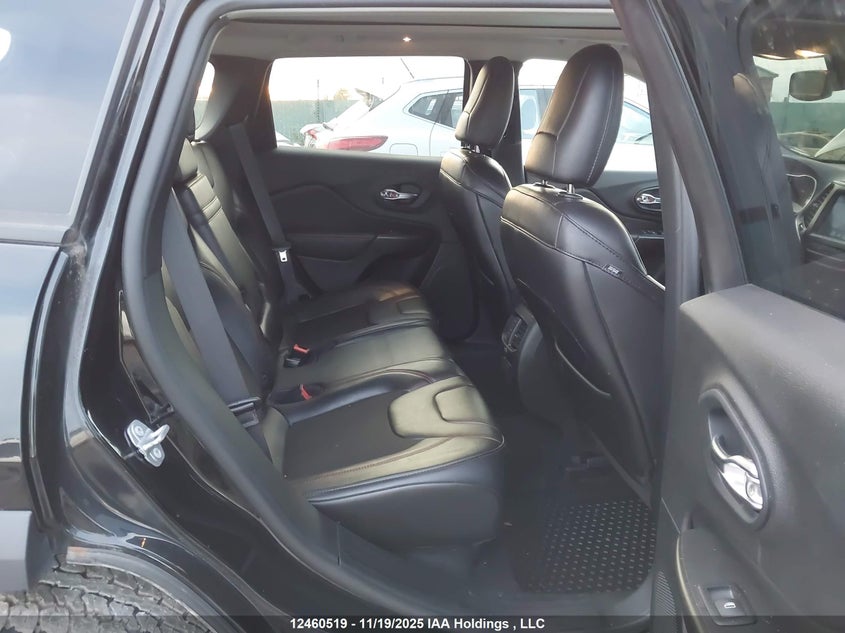 2019 Jeep Cherokee Trailhawk VIN: 1C4PJMBX8KD318523 Lot: 12460519