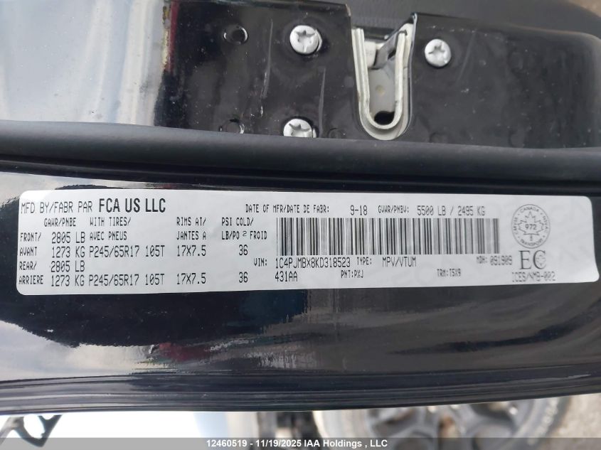 2019 Jeep Cherokee Trailhawk VIN: 1C4PJMBX8KD318523 Lot: 12460519