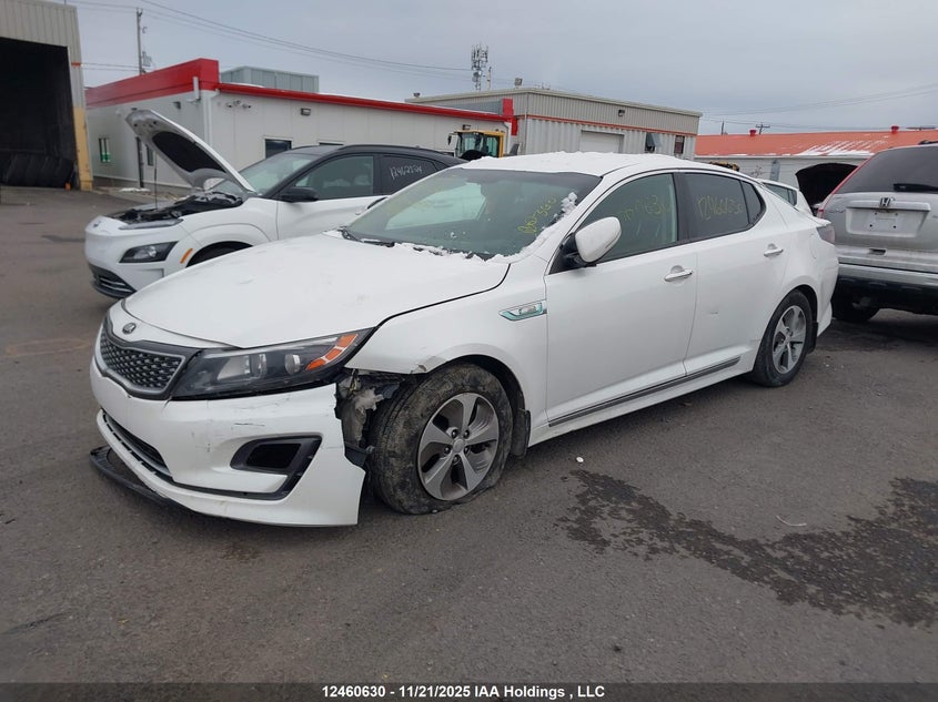 KNAGM4AD9E5064377 2014 KIA OPTIMA photo no. 2