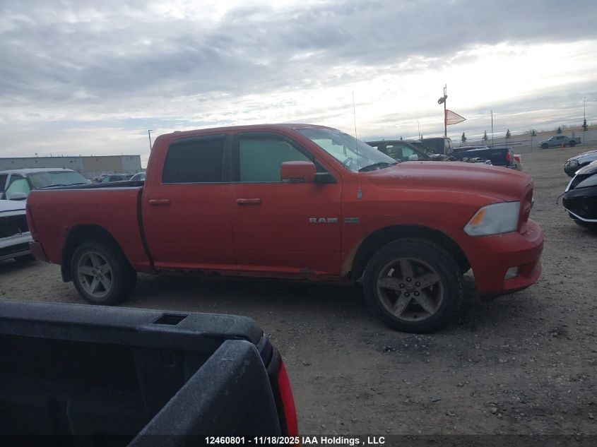 2009 Dodge Ram 1500 VIN: 1D3HV13T69S716961 Lot: 12460801