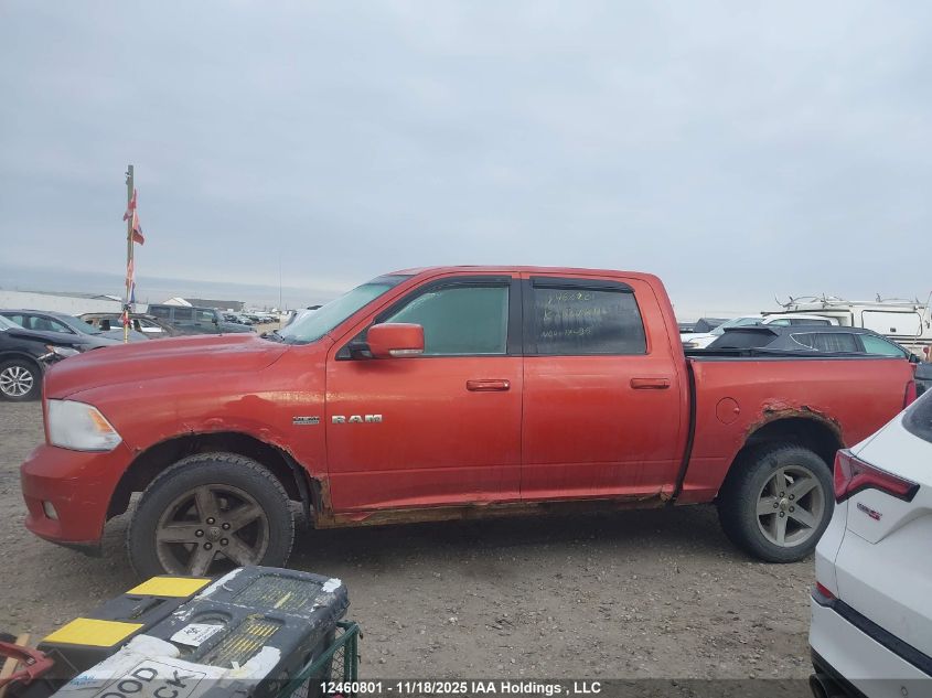 2009 Dodge Ram 1500 VIN: 1D3HV13T69S716961 Lot: 12460801