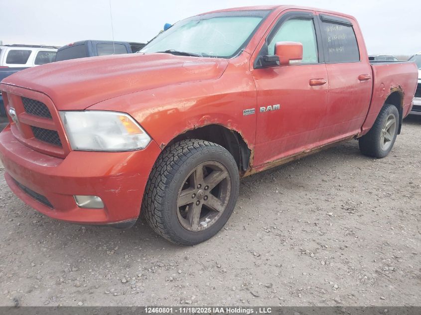 2009 Dodge Ram 1500 VIN: 1D3HV13T69S716961 Lot: 12460801