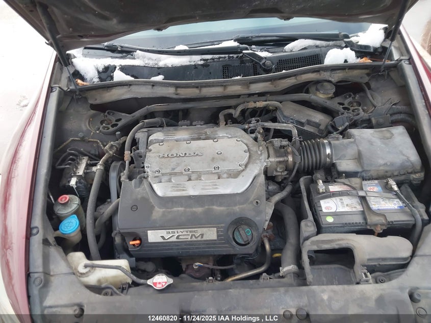 2009 Honda Accord Exl VIN: 1HGCP36849A802017 Lot: 12460820