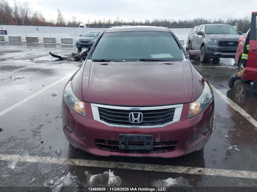 2009 Honda Accord Exl VIN: 1HGCP36849A802017 Lot: 12460820