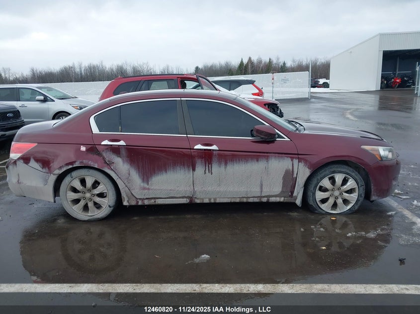 2009 Honda Accord Exl VIN: 1HGCP36849A802017 Lot: 12460820