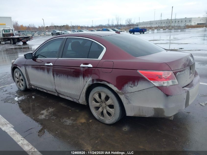 2009 Honda Accord Exl VIN: 1HGCP36849A802017 Lot: 12460820