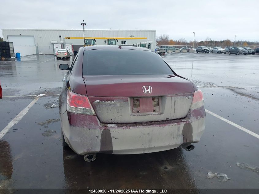 2009 Honda Accord Exl VIN: 1HGCP36849A802017 Lot: 12460820
