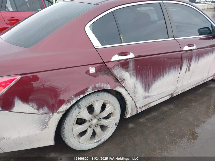 2009 Honda Accord Exl VIN: 1HGCP36849A802017 Lot: 12460820