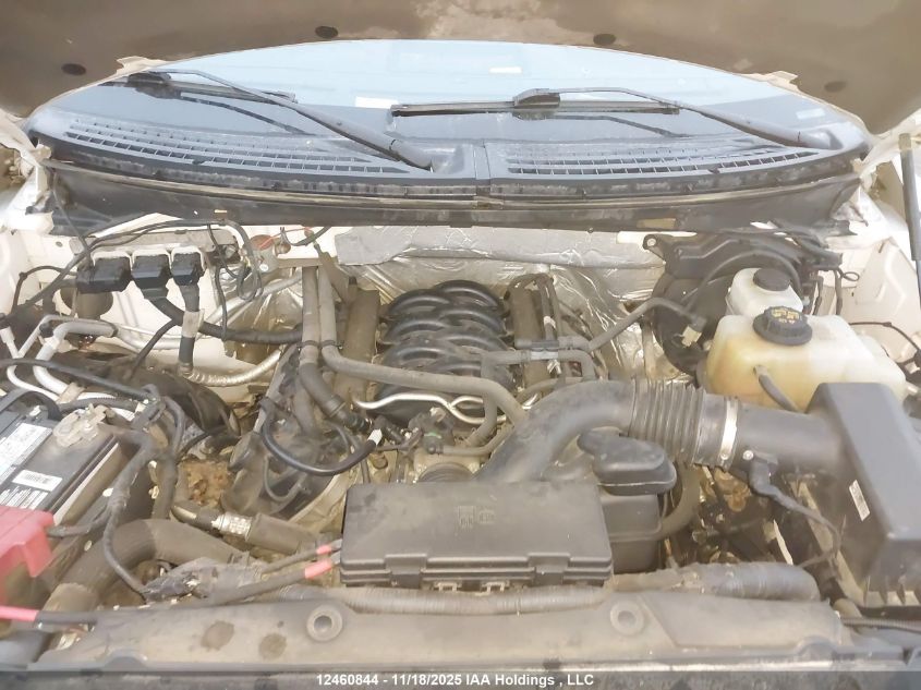 2013 Ford F150 Super Cab VIN: 1FTFX1EF2DFC90625 Lot: 12460844