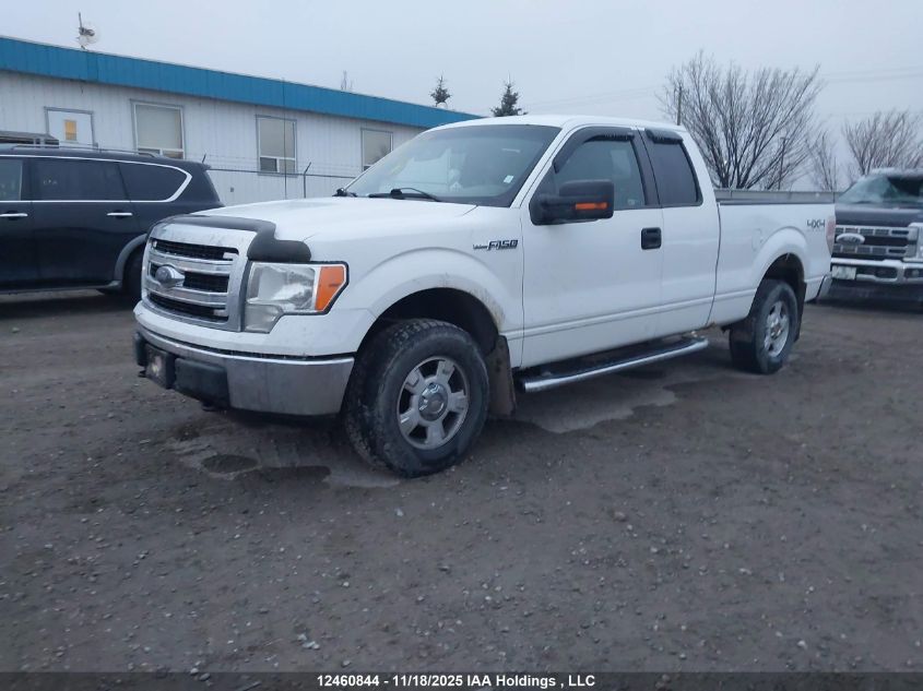 2013 Ford F150 Super Cab VIN: 1FTFX1EF2DFC90625 Lot: 12460844