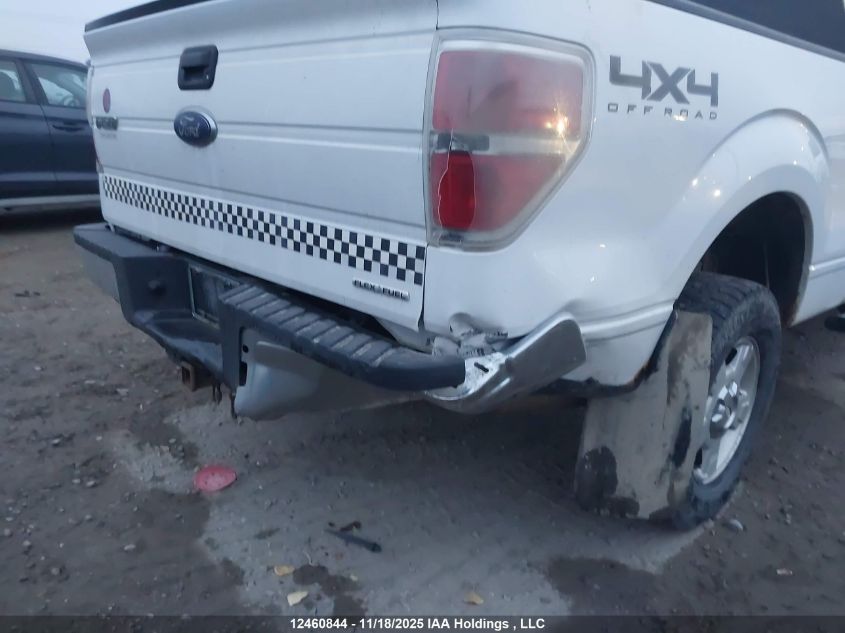 2013 Ford F150 Super Cab VIN: 1FTFX1EF2DFC90625 Lot: 12460844