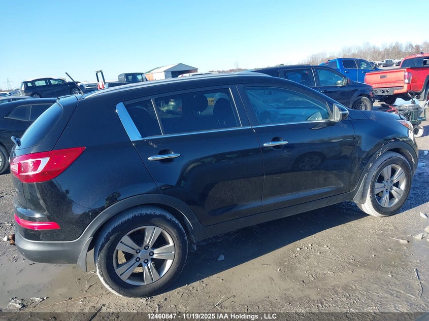 2011 Kia Sportage Ex VIN: KNDPC3A27B7049780 Lot: 12460847
