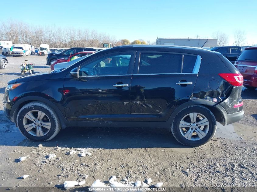 2011 Kia Sportage Ex VIN: KNDPC3A27B7049780 Lot: 12460847