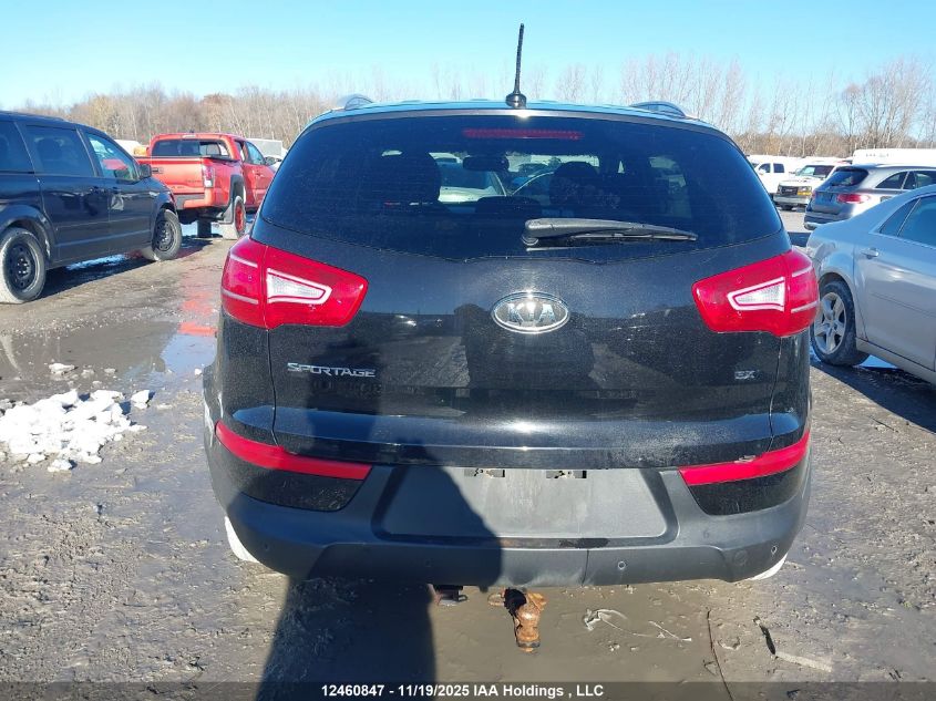 2011 Kia Sportage Ex VIN: KNDPC3A27B7049780 Lot: 12460847