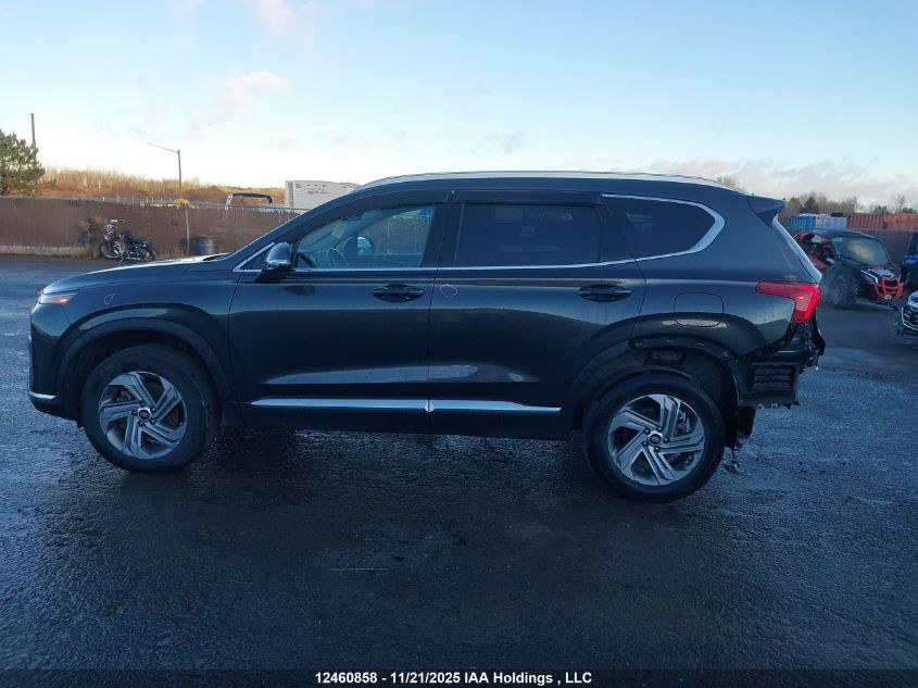 2023 Hyundai Santa Fe Preferred Awd With Trend Package VIN: 5NMS3DAJ0PH566684 Lot: 12460858