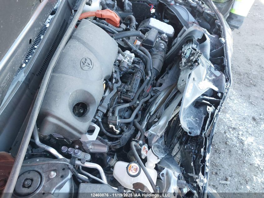 2025 Toyota Rav4 Xle/Woodland Edition VIN: 2T3RWRFV8SW279421 Lot: 12460876