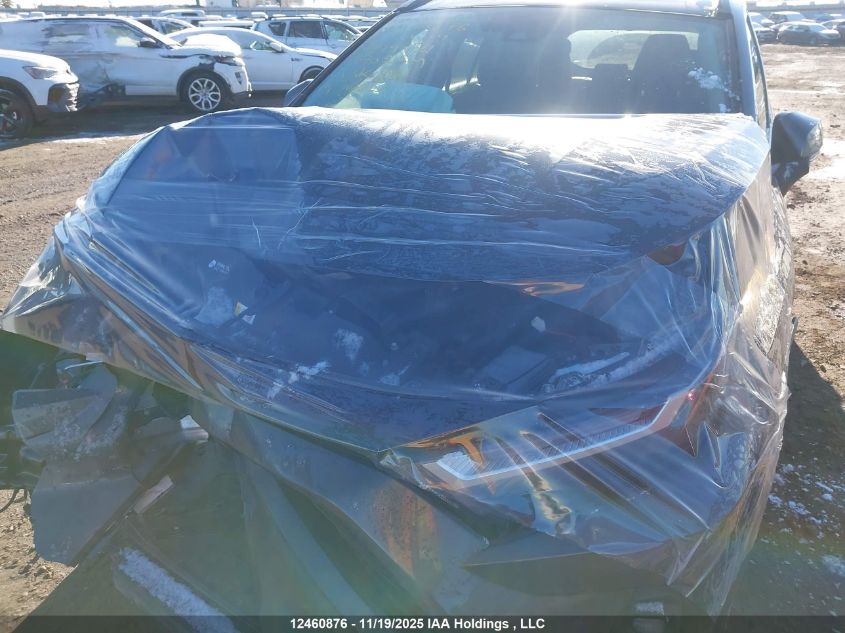 2025 Toyota Rav4 Xle/Woodland Edition VIN: 2T3RWRFV8SW279421 Lot: 12460876