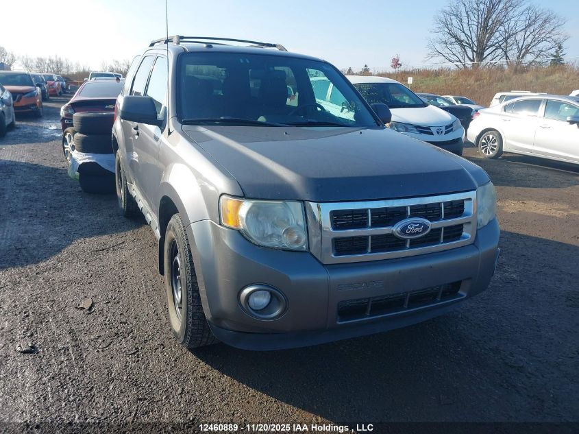 FORD ESCAPE XLT