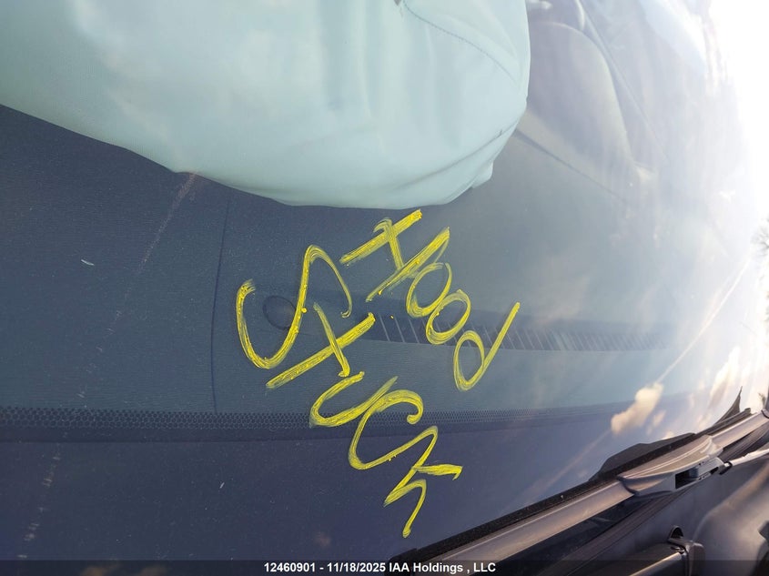 2010 Toyota Venza VIN: 4T3BK3BB1AU035954 Lot: 12460901