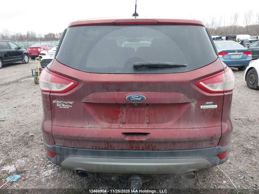 2014 Ford Escape VIN: 1FMCU0GX4EUA48665 Lot: 12460904