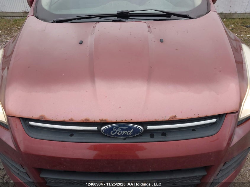2014 Ford Escape VIN: 1FMCU0GX4EUA48665 Lot: 12460904