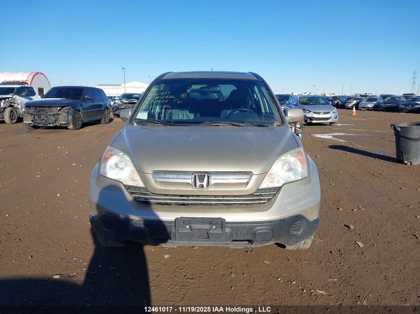 2008 Honda Cr-V Exl VIN: 5J6RE48718L809237 Lot: 12461017