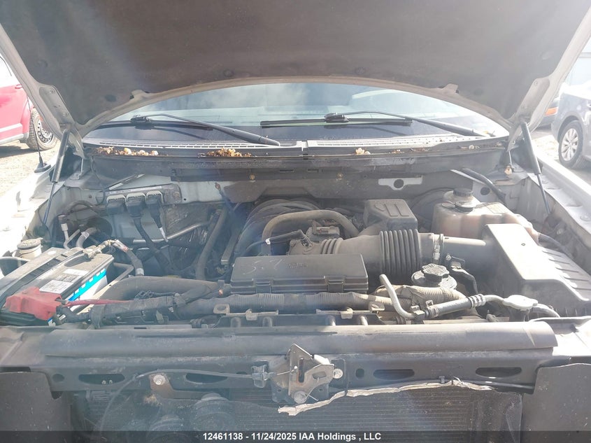 2010 Ford F-150 Xlt VIN: 1FTEW1C83AFA23606 Lot: 12461138