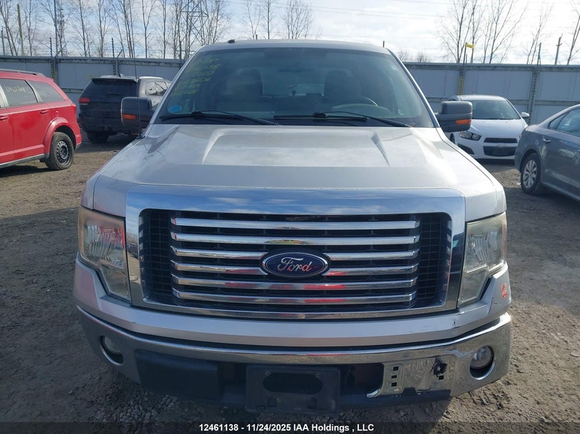 2010 Ford F-150 Xlt VIN: 1FTEW1C83AFA23606 Lot: 12461138