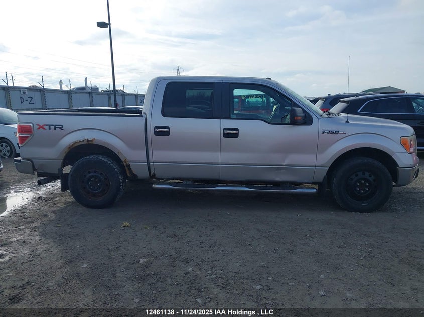 2010 Ford F-150 Xlt VIN: 1FTEW1C83AFA23606 Lot: 12461138