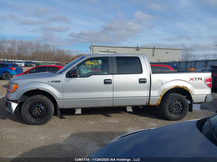 2010 Ford F-150 Xlt VIN: 1FTEW1C83AFA23606 Lot: 12461138