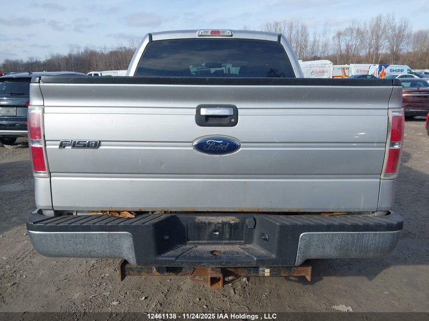 2010 Ford F-150 Xlt VIN: 1FTEW1C83AFA23606 Lot: 12461138