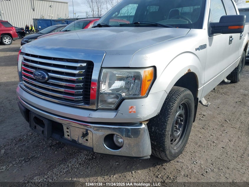 2010 Ford F-150 Xlt VIN: 1FTEW1C83AFA23606 Lot: 12461138