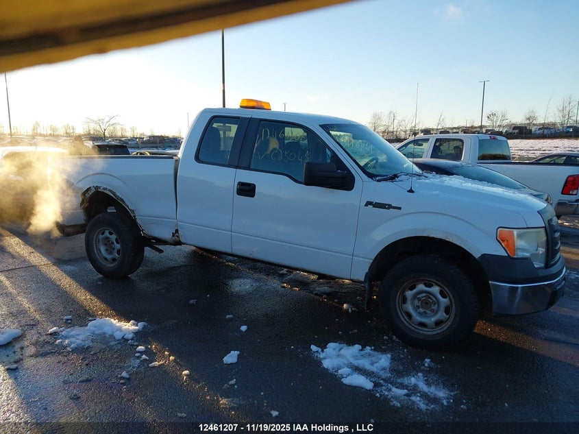 2010 Ford F-150 VIN: 1FTEX1C86AFC25045 Lot: 12461207