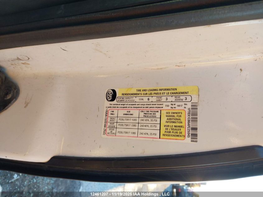 2010 Ford F-150 VIN: 1FTEX1C86AFC25045 Lot: 12461207