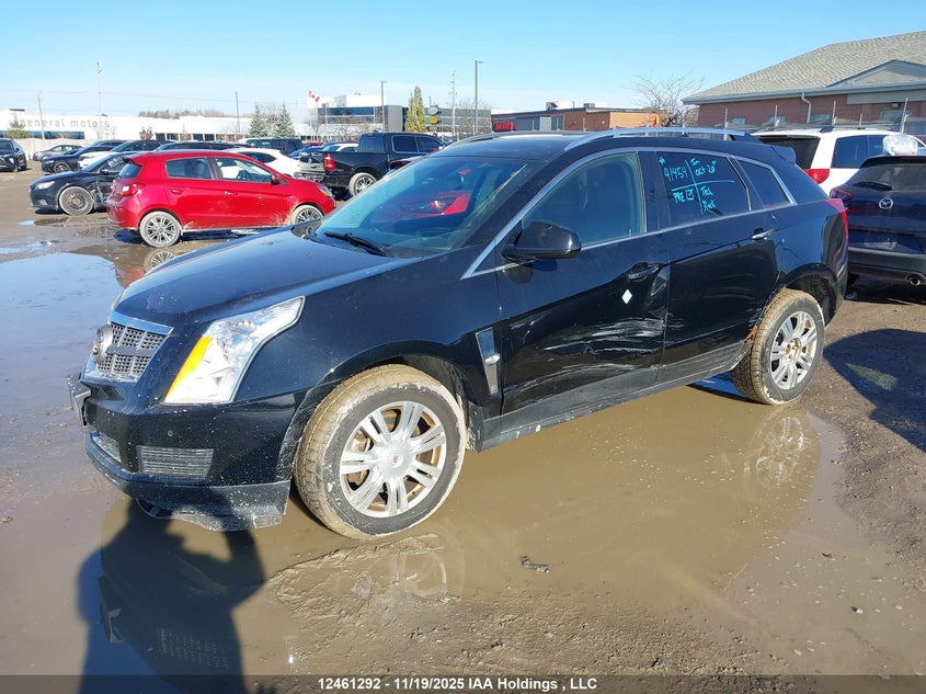 3GYFNDEYXAS519661 2010 CADILLAC SRX photo no. 2