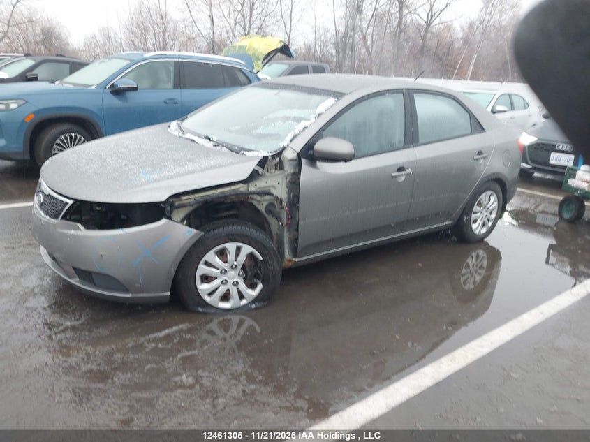 KNAFT4A21C5609787 2012 KIA FORTE photo no. 2