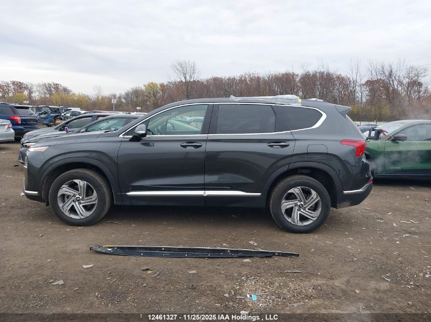 2023 Hyundai Santa Fe Preferred Awd With Trend Package VIN: 5NMS3DAJ7PH565922 Lot: 12461327