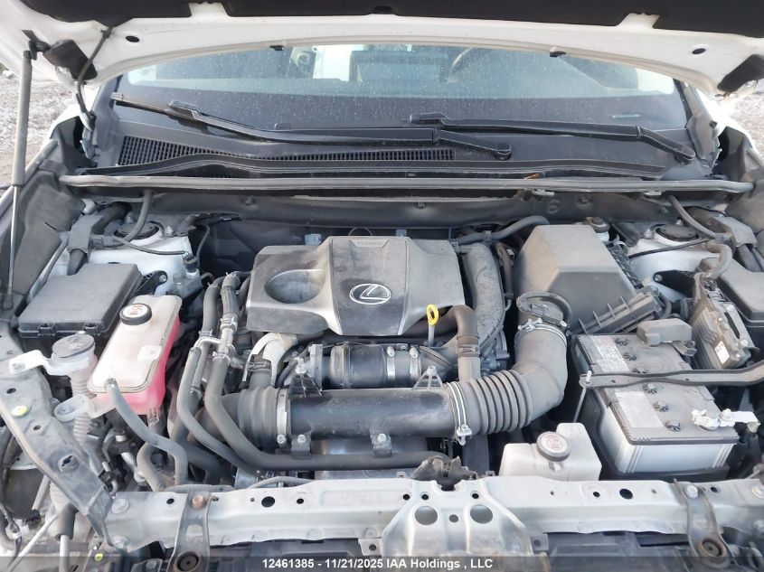 2020 Lexus Nx 300 VIN: JTJGARDZXL5000584 Lot: 12461385