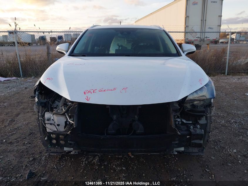 2020 Lexus Nx 300 VIN: JTJGARDZXL5000584 Lot: 12461385