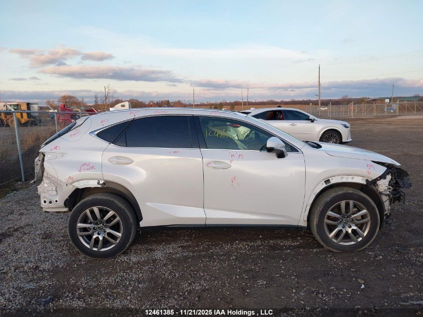 2020 Lexus Nx 300 VIN: JTJGARDZXL5000584 Lot: 12461385