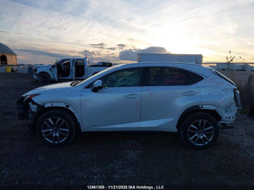 2020 Lexus Nx 300 VIN: JTJGARDZXL5000584 Lot: 12461385