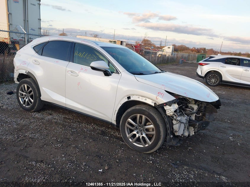 JTJGARDZXL5000584 2020 LEXUS NX photo no. 3