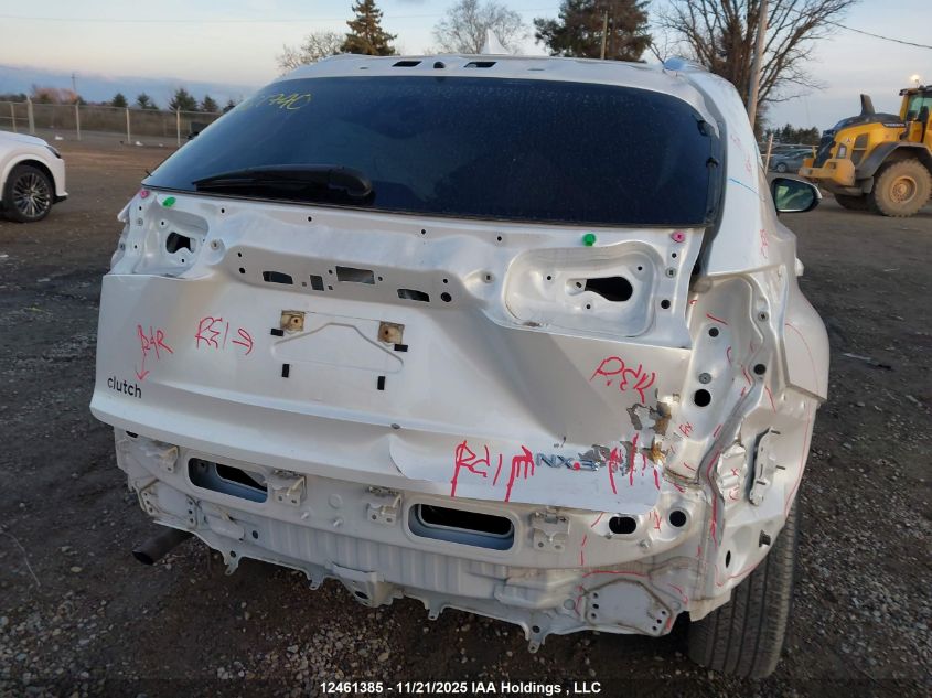 2020 Lexus Nx 300 VIN: JTJGARDZXL5000584 Lot: 12461385