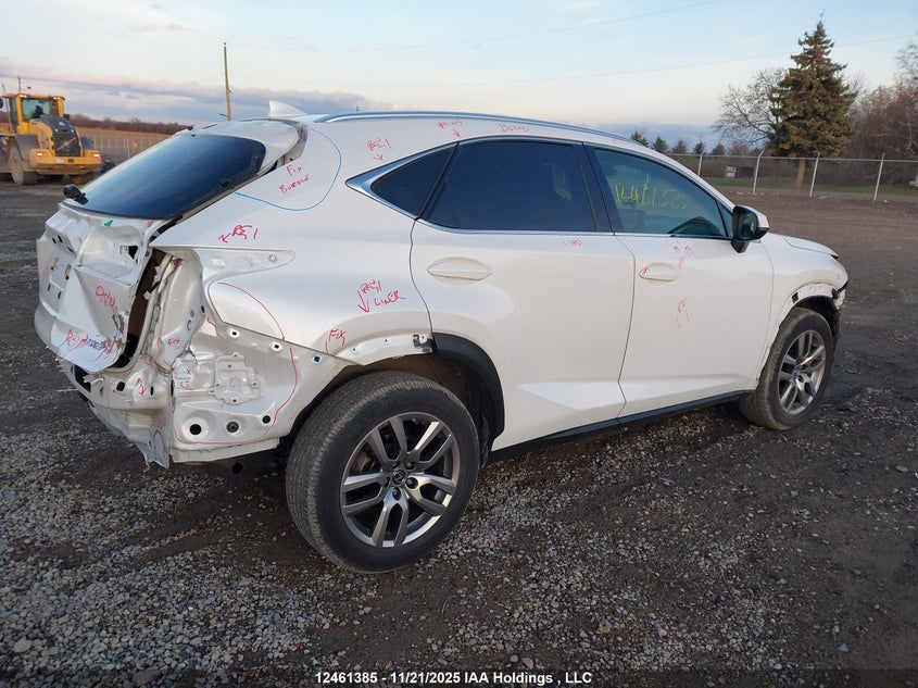JTJGARDZXL5000584 2020 LEXUS NX photo no. 4